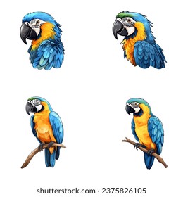 set of happy cute blue and gold macaw watercolor illustrations for printing on baby clothes, pattern, sticker, postcards, print, fabric, and books
