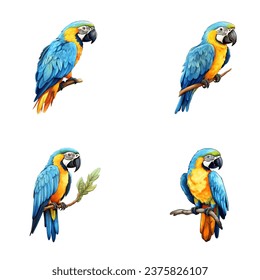 set of happy cute blue and gold macaw watercolor illustrations for printing on baby clothes, pattern, sticker, postcards, print, fabric, and books