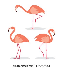 Set of happy cute cartoon pink flamingo