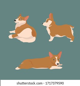 Set Happy dog Welsh Corgi. The style flat. 