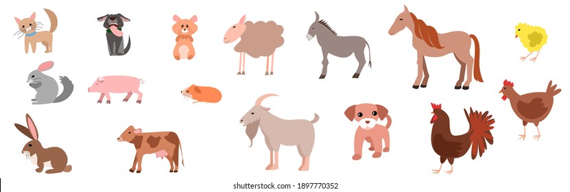 Set of happy funny pets or farm pets in flat style. Cat, dog, sheep, cow, pig, rabbit, chinchilla, hamster, chicken, rooster, donkey, horse, goat. Vector illustration isolated on a white background.