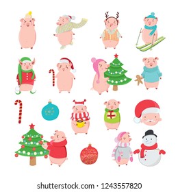 Set of happy and funny pigs on white background. Piglets as a symbol of 2019. Christmas holiday winter season.