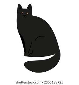 Set of Happy Halloween illustrations, Characters in costume vector clipart, kids witch ghost skeleton pet cat dog pumpkin face bat spider, Flat style images.
