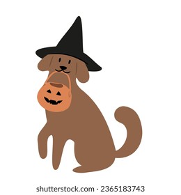 Set of Happy Halloween illustrations, Characters in costume vector clipart, kids witch ghost skeleton pet cat dog pumpkin face bat spider, Flat style images.