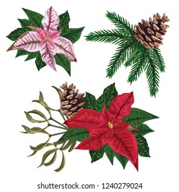 Set with Happy New Year decoration. Bright red and pink Poinsettia, Fir Cone, Mistletoe, Pine Tree Branches isolated on white background. Merry Christmas vector frame.