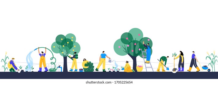 Set of happy people planting seedling and tree, picking apples, raspberries, berries in basket and spray fertilizer during harvest. Adult male, female action characters. Gardening concept for poster.