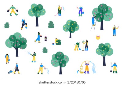 Set of happy people planting and watering tree, picking apples and berries in basket and spray fertilizer during harvest. Adult male, female action characters. Gardening concept for poster.