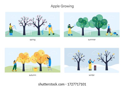 Set of happy people, watering tree, picking apples in basket and spray fertilizer during different seasons of the year. Flat vector illustration. Gardening concept for poster, banner