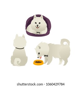 Set of happy smiling white fluffy dogs sitting, eating from bowl and lying in dog bed, isolated on white background. Beautiful cartoon style characters for card, banner with pets. Vector illustration.