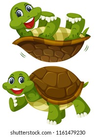 A set of happy turtle illustration