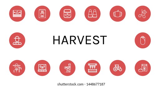 Set of harvest icons such as Cherry, Corn, Pumpkin, Blackcurrant, Farmer, Smart greenhouse, Producer, Seeder, Tractor, Flour , harvest