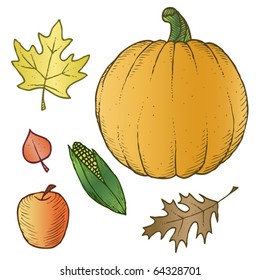 A set of harvest related hand-drawn illustrations. Vector.