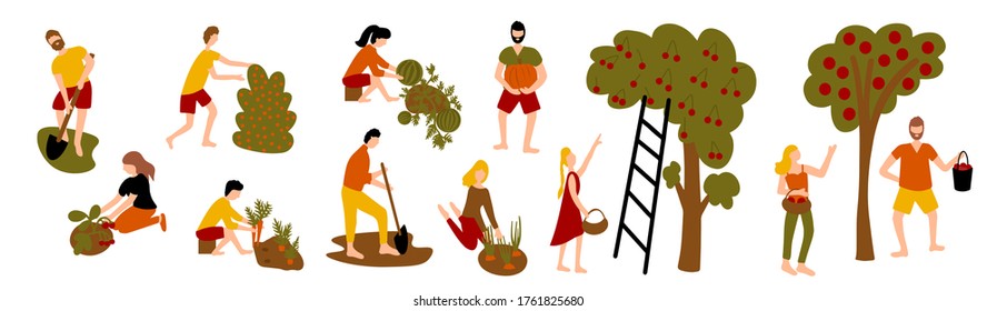 set of harvesting people. autumn farm work. farmers collection set. Women and men pick vegetables and fruits. 