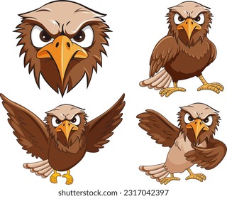 Set of hawk bird cartoon illustration