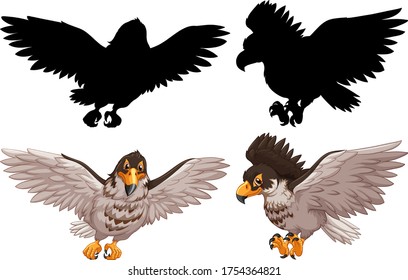 Set of hawk and its silhouette illustration