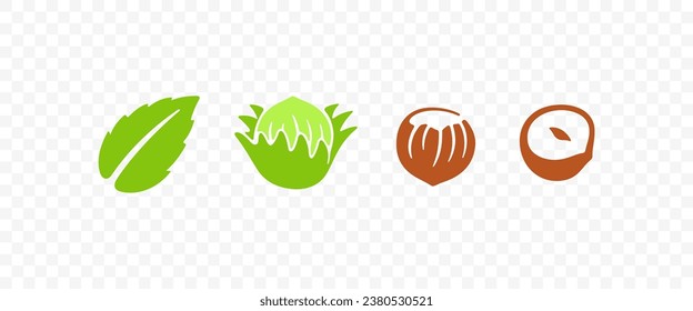 Set hazelnut, filbert, cobnut, nut, leaves and plant, graphic design. Nutty, food, meal, nature, fruit, kernel, eating and eat, vector design and illustration