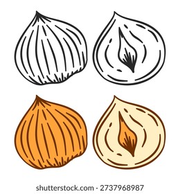 set of hazelnuts illustration. hazelnuts collection illustration. hazelnuts doodle set. collections of hazelnuts.