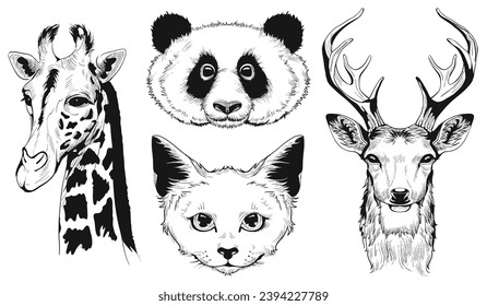 Set head animal vector sketch drawing isolated on white background. Illustration nature animal