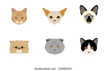 Set of Head Cats Vectors and Icons