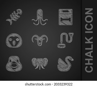 Set Head of goat or ram, Elephant, Swan bird, Collar with name tag, Goose, Owl, Dog bone and Fish skeleton icon. Vector