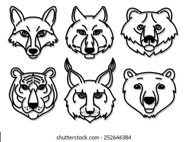 set of head of wild carnivores