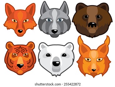 set of head of wild carnivores