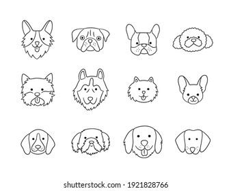 Set of heads of different breeds dogs Corgi, Pug, Chihuahua, Terrier, Retriever, Dachshund, Poodle. Collection of dog faces. Hand drawn isolated vector illustration in doodle style on white background