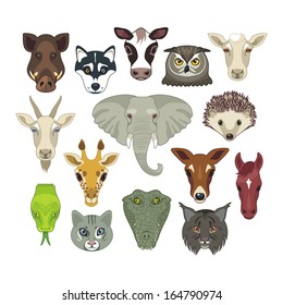 Set with heads of various wild and domestic animals