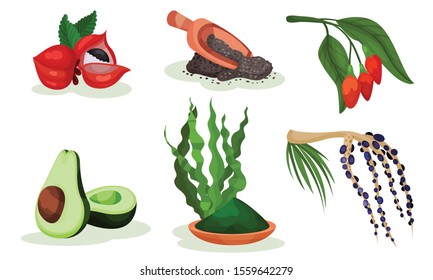 Set of healing fruits and plants. Vector illustration.