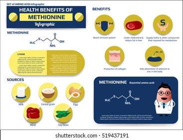 set of health benefits of Methionine (essential amino acid) infographic, supplement and nutrition vector illustration for education.