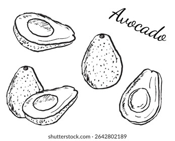 Set with healthy avocado vegetable whole and half sliced in black brush stroke texture isolated on white. Hand drawn vector sketch illustration in vintage charcoal ink. Healthy diet, nutrition, vegan