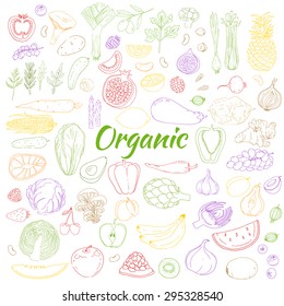 Set of healthy food. Colorful linear vector illustration. Sketch. Herb, vegetables, fruit, berries. Linear hand drawn elements. Organic.