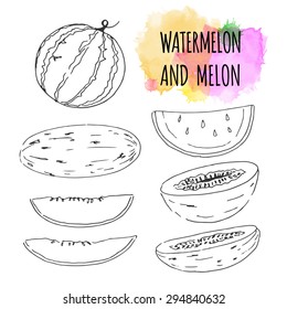Set of healthy food. Vitamins. Linear hand drawn elements. Watermelon and melon. Fruit.
