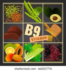 Set of healthy fruit, vegetables, beans, lentils and greens containing vitamin B9. Food sources graphic information. Source of folicin - seeds, vegetables, beans, lentils. Vector illustration.
