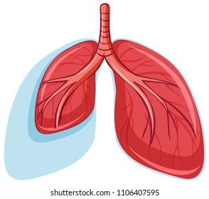 Ilustración de pulmones sanos