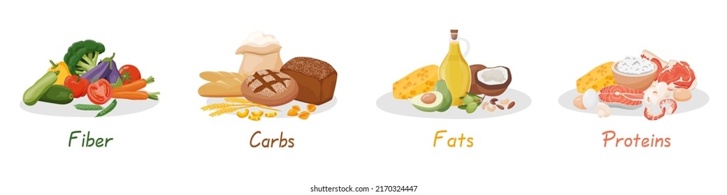 Conjunto de macronutrientes sanos. Fibra, proteínas, grasas y carbohidratos presentados por productos alimenticios. Ilustración vectorial de las categorías nutricionales. Nutrición equilibrada. Alimentos saludables