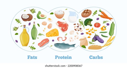 Set of healthy macronutrients. Proteins, fats and carbs presented by food products. Vector illustration of nutrition categories. Balanced nutrition. Healthy food.