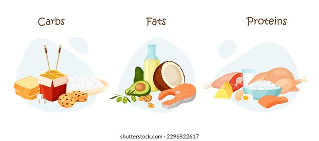 Set of healthy macronutrients. Proteins, fats and carbs in a food. Nutrient complex diet and wholesome products. Vector illustration in trendy flat style isolated on white background.