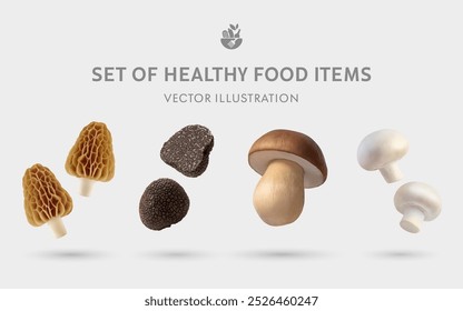 Um conjunto de alimentos saudáveis Cogumelo 3D Vetor Itens: Cogumelo branco, Porcini, Trufa, Morchella