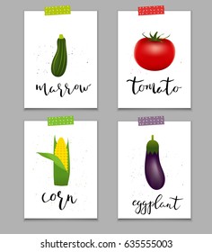 Set of healthy sticker vegetables. Collection of quality vector illustration about diet, eco food, benefits of vegan and nutrition concept.