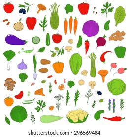 Set of healthy vegetarian food. Vegetables and herbs. Hand drawn vector background.