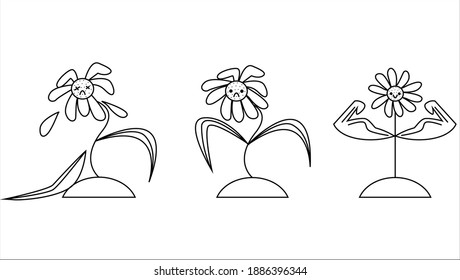 
a set of healthy, wilting and dead flower.