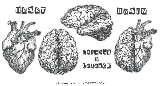Set heart and brain Vintage design collage poster. Mental health and emotional well-being symbols. Mind-heart balance hand drawn graphic art. Half tone and sketch doodle style. Vector illustration.