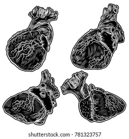 Set of hearts hand drawn isolated on background. Hand drawn anatomical flesh tattoo human heart with detailed veins. Vector.