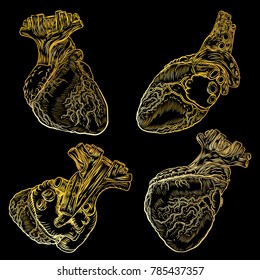 Set of hearts hand drawn isolated on background. Hand drawn anatomical flesh tattoo human heart with detailed veins. Vector.