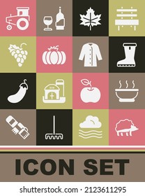 Set Hedgehog, Bowl of hot soup, Waterproof rubber boot, Leaf or leaves, Pumpkin, Grape fruit, Tractor and Raincoat icon. Vector