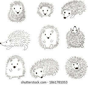 Set of hedgehog. Doodle black and white illustration on white background.