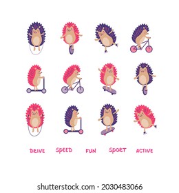 Set of hedgehogs on rollers, skateboard, bicycle, scooter, mono wheel and with skipping rope. Vector color illustration in flat style with words.