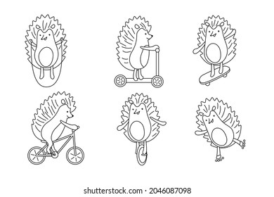 Set of hedgehogs on rollers, skateboard, bicycle, scooter, mono wheel and with skipping rope. Vector illustration in line art style.	