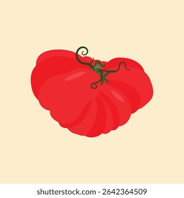 Set of heirloom tomatoes with green stems different shapes. Flat vector illustration isolated on light background. Colorful vegetable variety. Healthy eating and organic farming concept